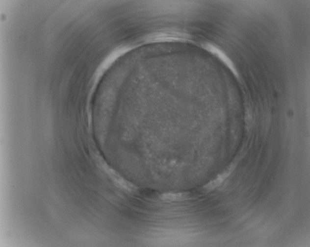 X0000075921419200610151855