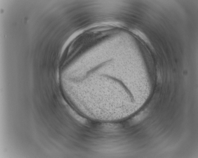 X0000075921420200610151855