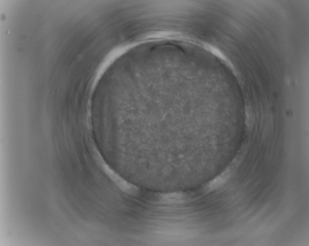 X0000075921421200610151855