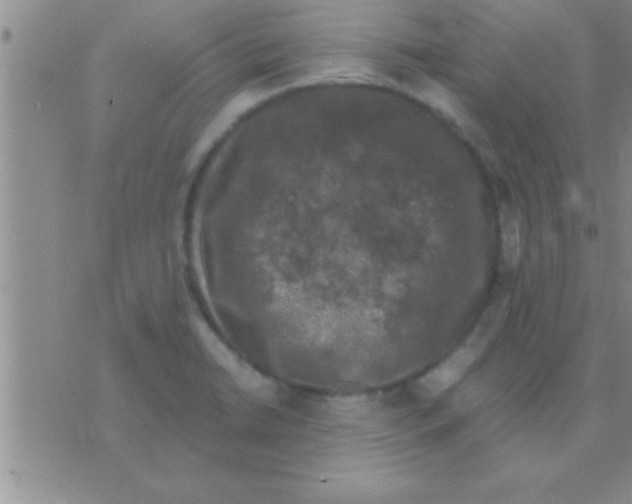 X0000075921422200610151855