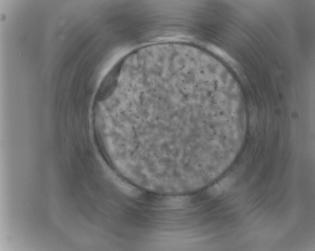 X0000075921423200610151855