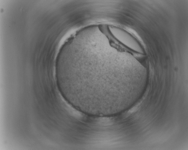 X0000075921424200610151855