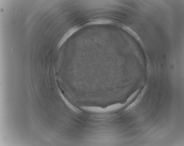 X0000075921425200610151855