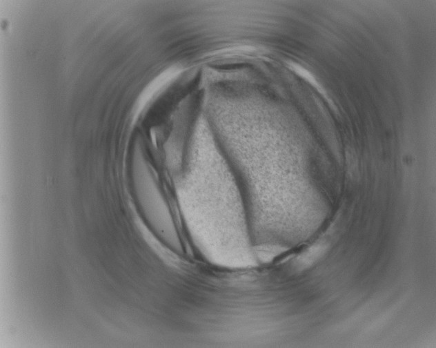 X0000075921426200610151855