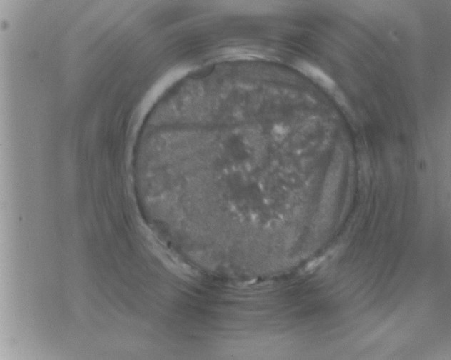 X0000075921427200610151855