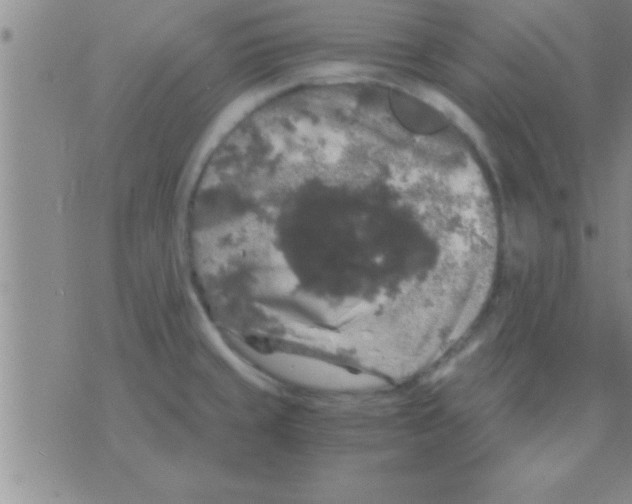 X0000075921429200610151855