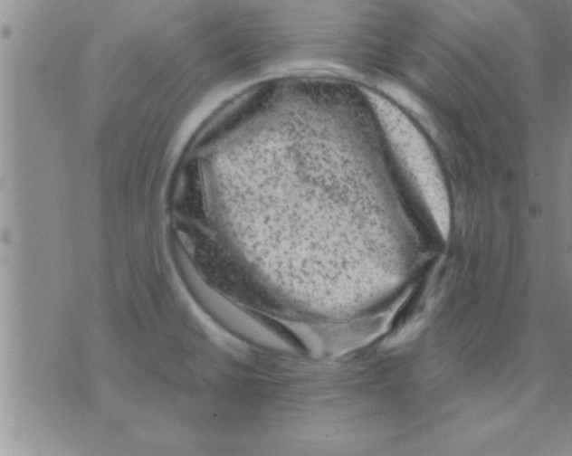 X0000075921430200610151855