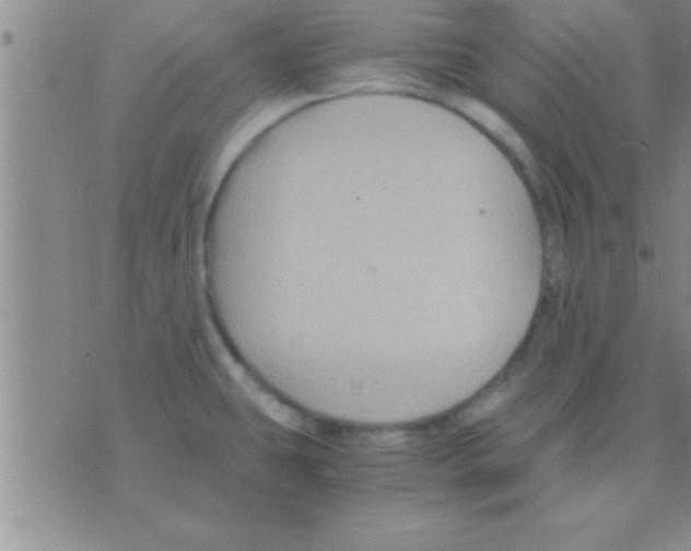 X0000075921431200610151855