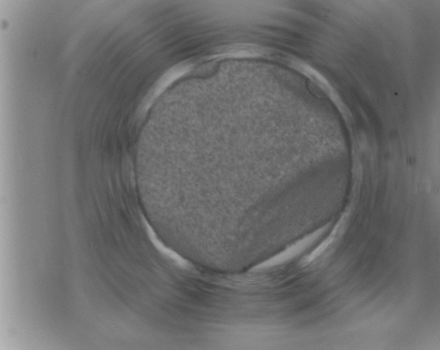 X0000075921433200610151855