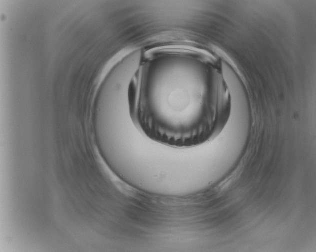 X0000075921434200610151855