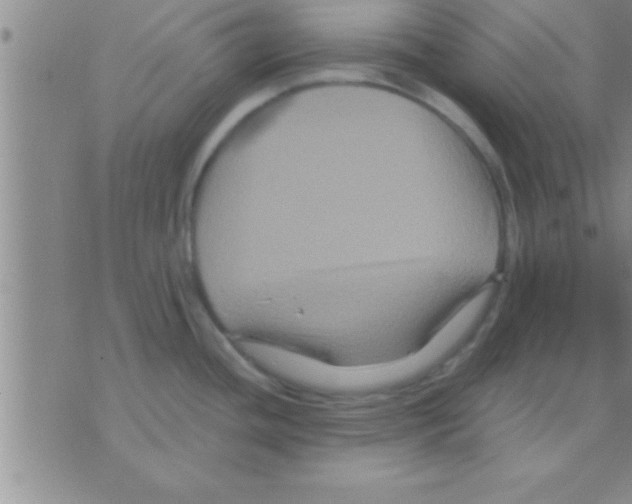 X0000075921436200610151855