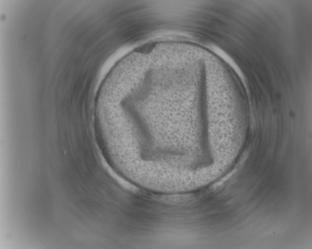 X0000075921437200610151855