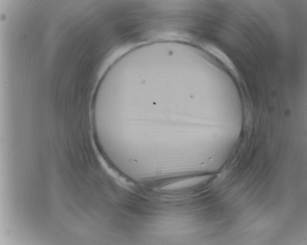 X0000075921439200610151855