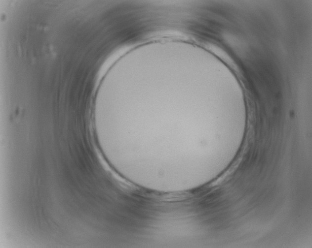 X0000075921440200610151855