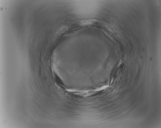 X0000075921441200610151854