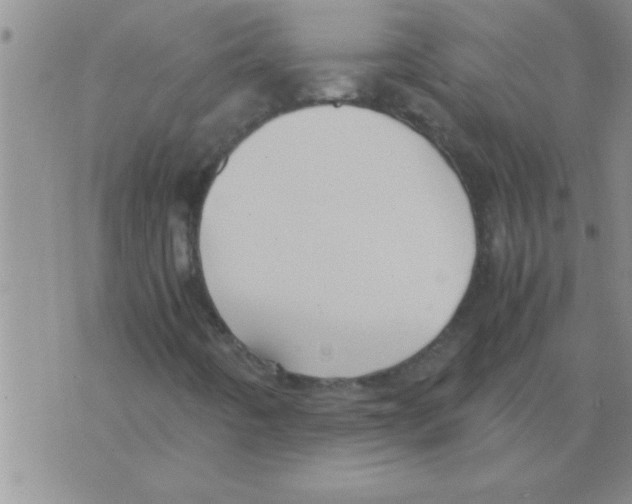 X0000075921442200610151854