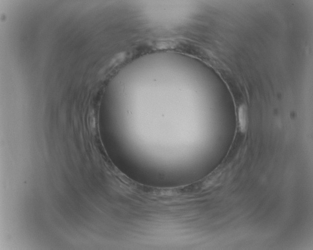 X0000075921443200610151854