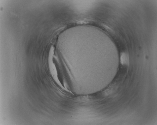 X0000075921444200610151854