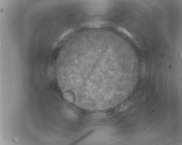 X0000075921446200610151854