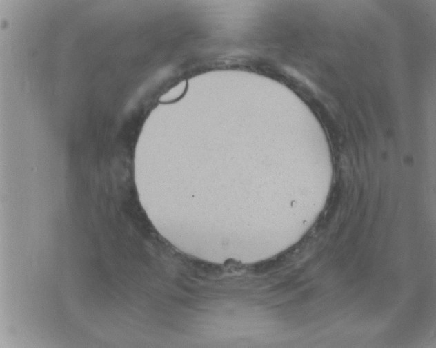 X0000075921447200610151854