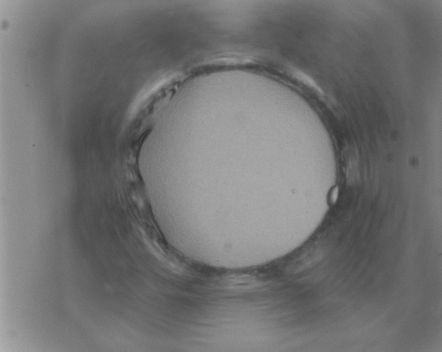 X0000075921448200610151854