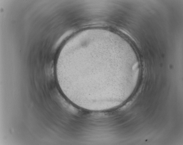 X0000075921450200610151854