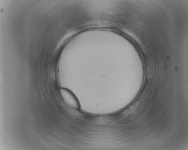 X0000075921451200610151854