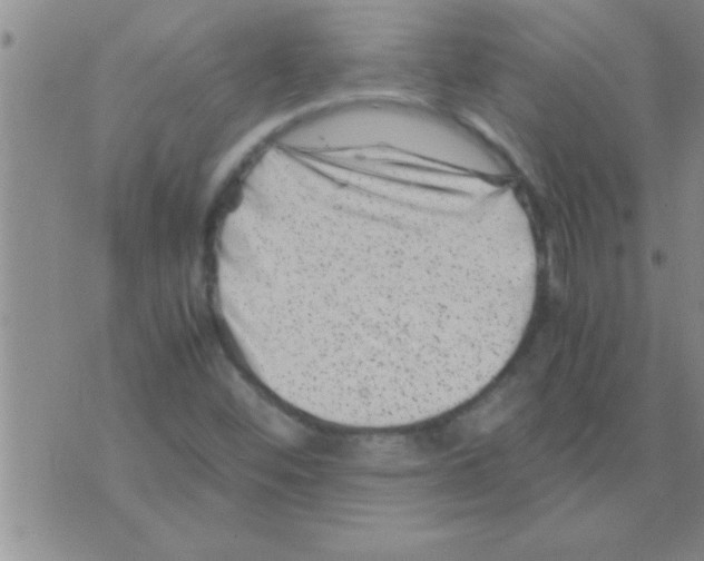 X0000075921452200610151854