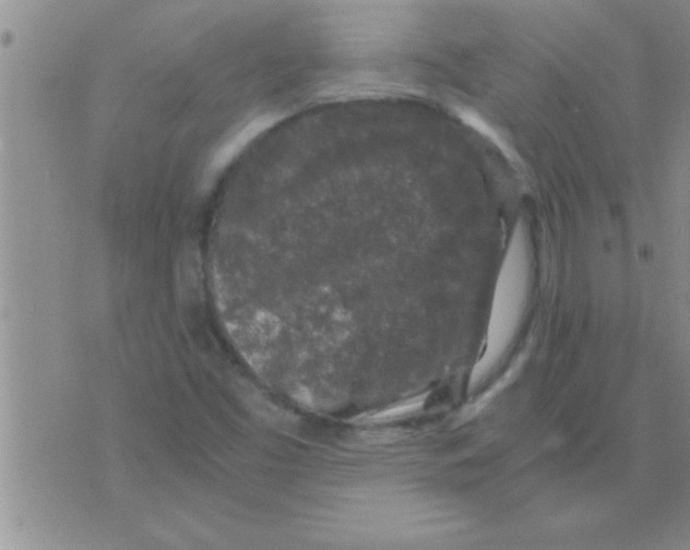 X0000075921453200610151854