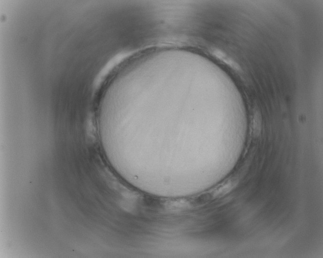 X0000075921454200610151854