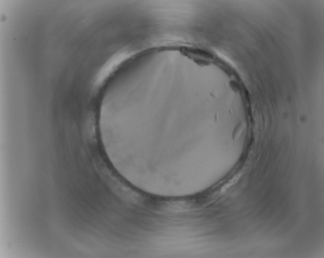 X0000075921455200610151854