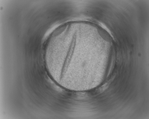 X0000075921456200610151854