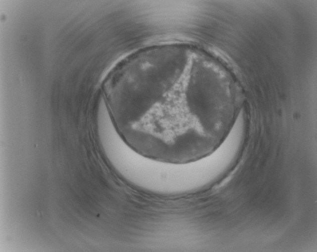 X0000075921457200610151854