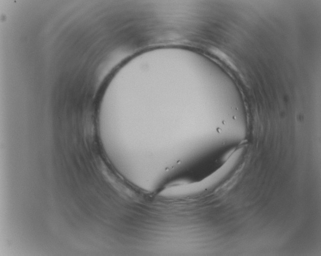 X0000075921458200610151854