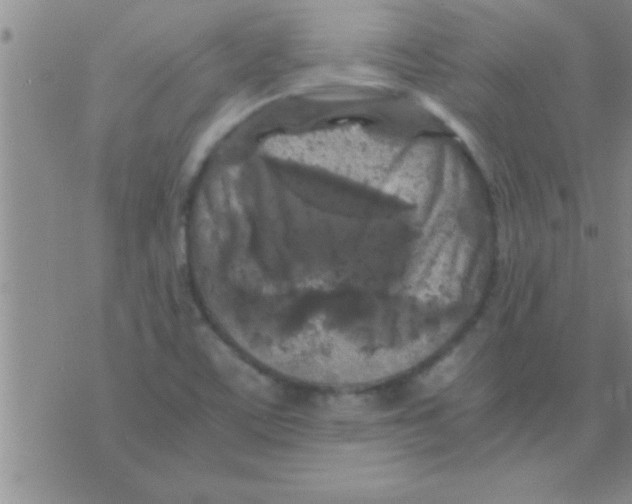 X0000075921459200610151854