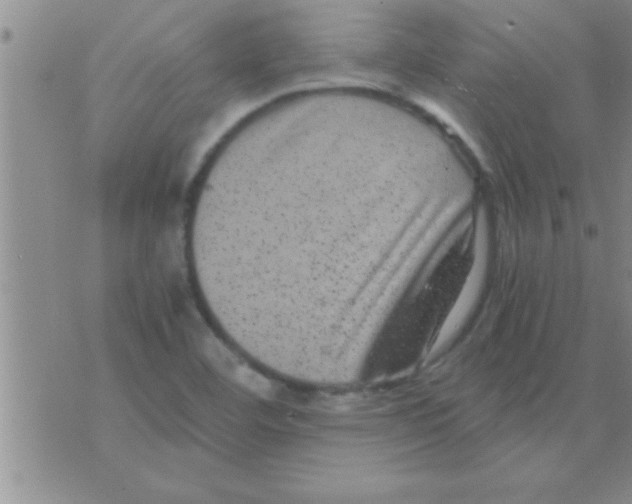 X0000075921460200610151854