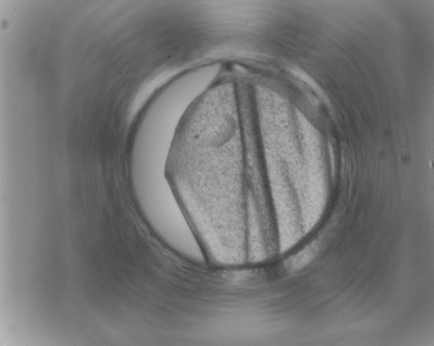 X0000075921461200610151854