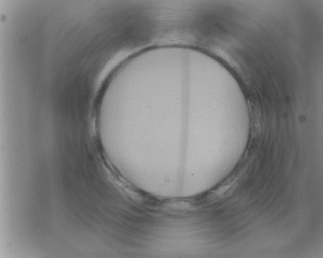 X0000075921462200610151854