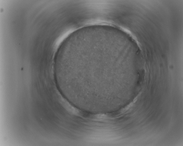 X0000075921463200610151854