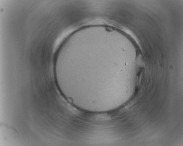 X0000075921464200610151854