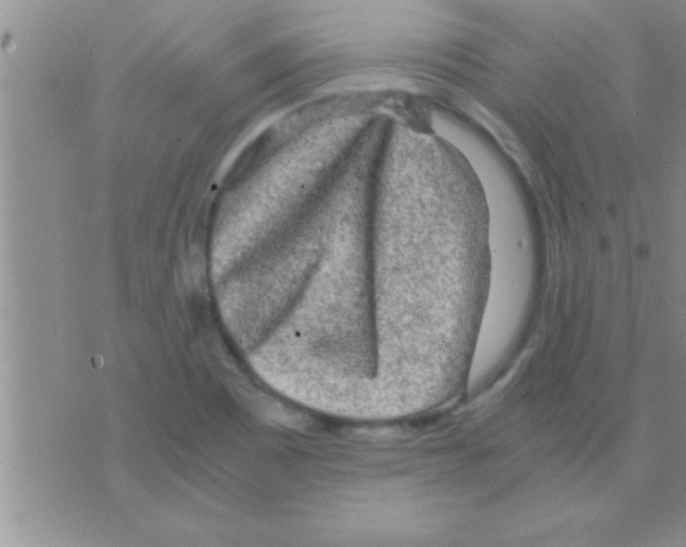 X0000075921465200610151854