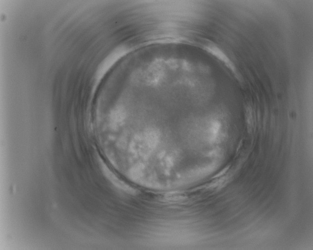 X0000075921466200610151854