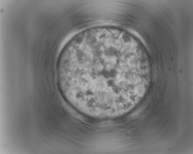 X0000075921467200610151854