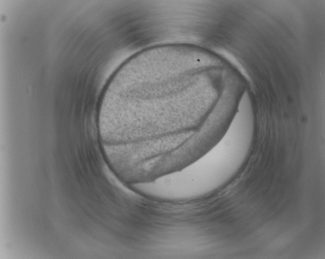 X0000075921468200610151854