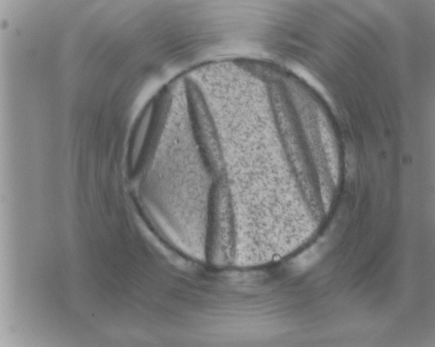 X0000075921469200610151854