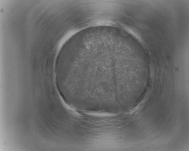 X0000075921471200610151854