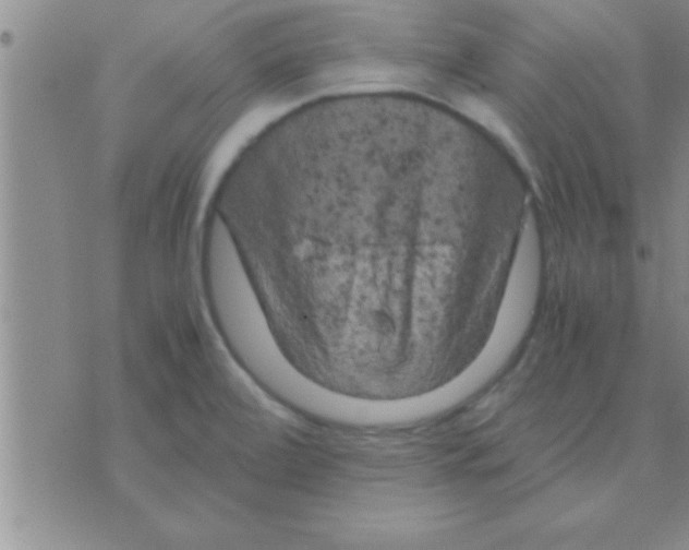 X0000075921472200610151854