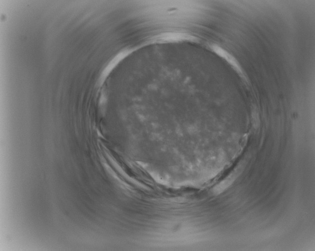 X0000075921473200610151854