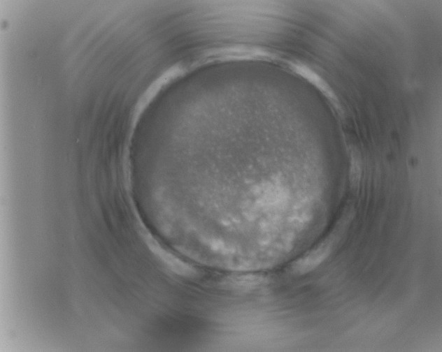 X0000075921474200610151854