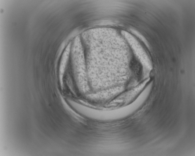 X0000075921475200610151854